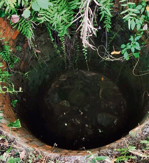 Chhapra News : आत्महत्या की नीयत से कुंए में कूदी महिला, आठ दिन बाद जिंदा निकली