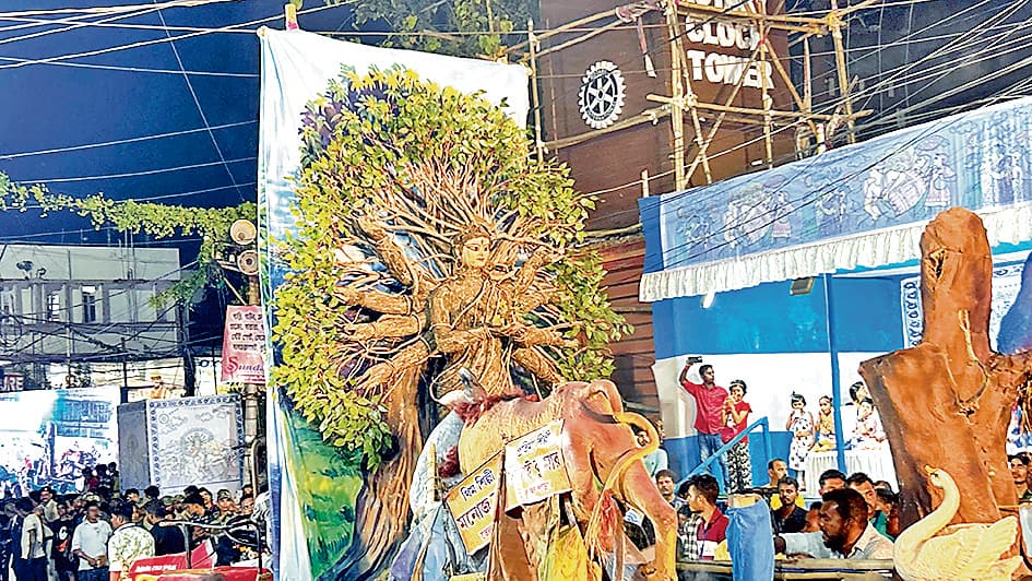 पूजा कार्निवाल में उमड़ी भीड़