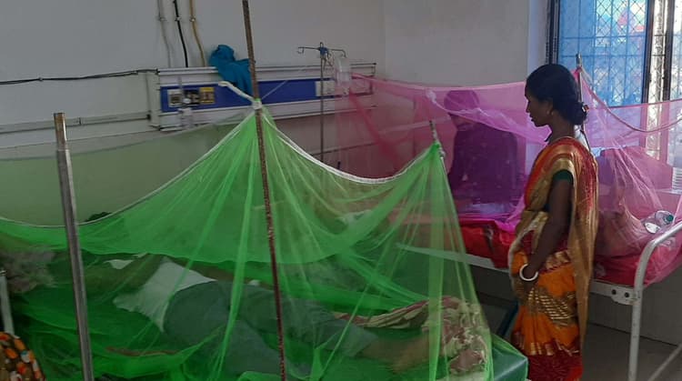 जिले में फैल रही है डेंगू बीमारी, हर दिन मिल रहे चार मरीज