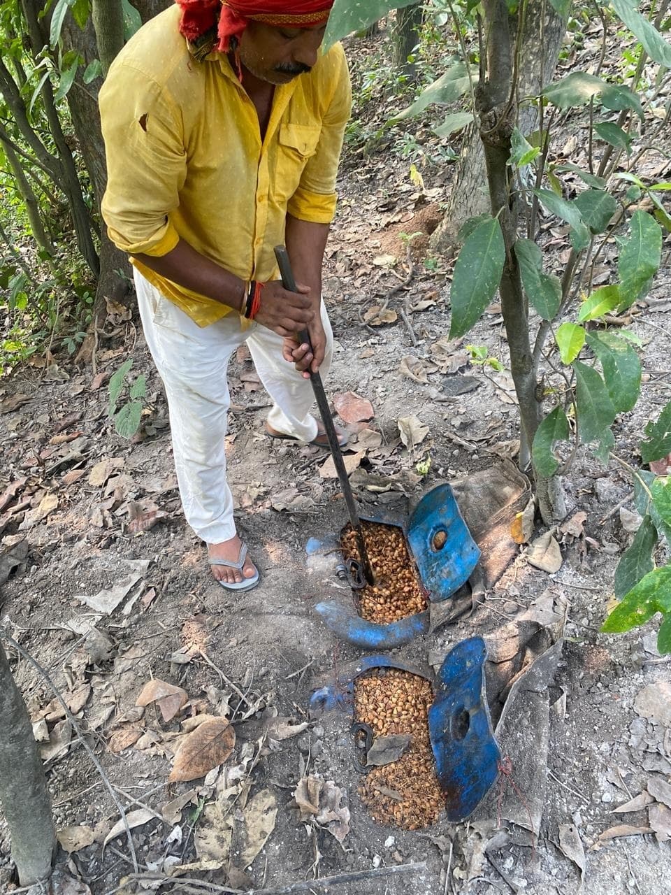 BOKARO NEWS: तीन हजार किलो जावा महुआ व 150 लीटर चुलाई शराब जब्त