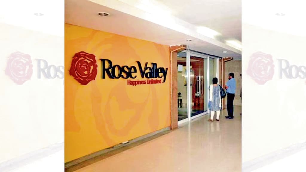 रोजवैली समूह की 27 संपत्तियां होंगी नीलाम