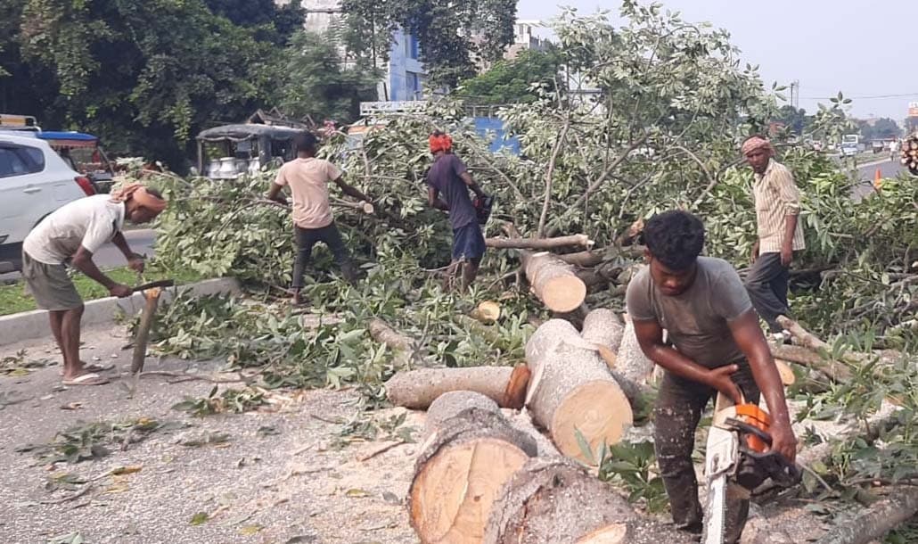 सड़क चौडीकरण को ले वृक्षों की कटाई शुरू