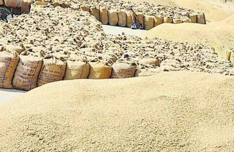 Rourkela News: किसानों से 3100 रुपये प्रति क्विंटल की कीमत पर धान खरीदेगी ओडिशा सरकार