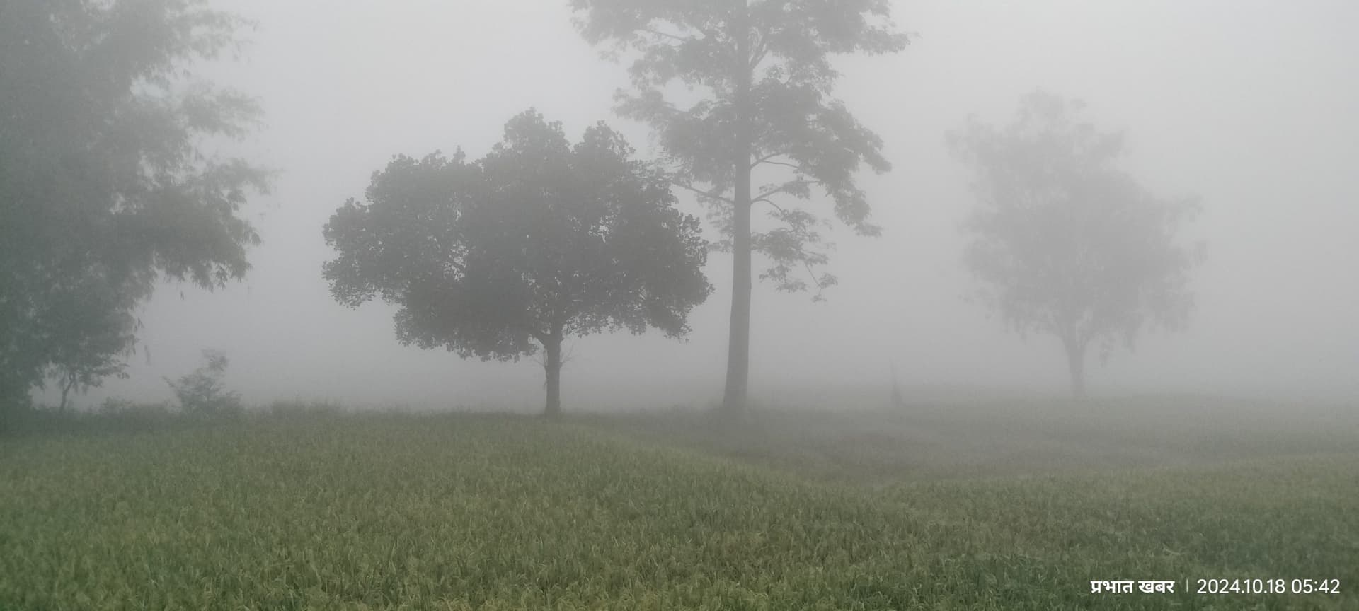 Giridih News:खोरीमहुआ में आसमान में छाया रहा कोहरा