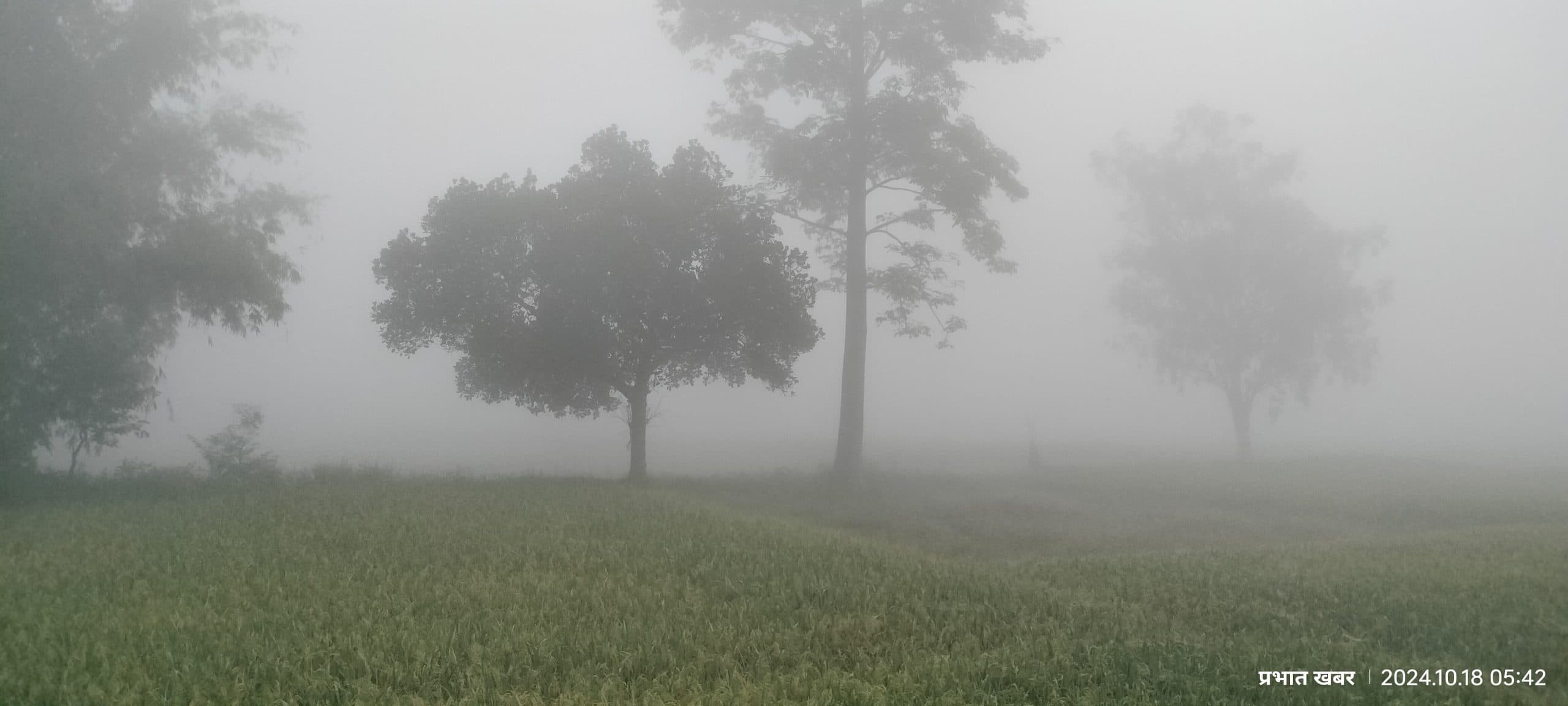 Giridih News:खोरीमहुआ में आसमान में छाया रहा कोहरा