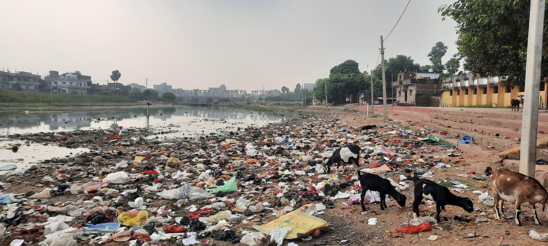 कचरे से भरा है मिर्जापुर सूर्य मंदिर का छठ घाट