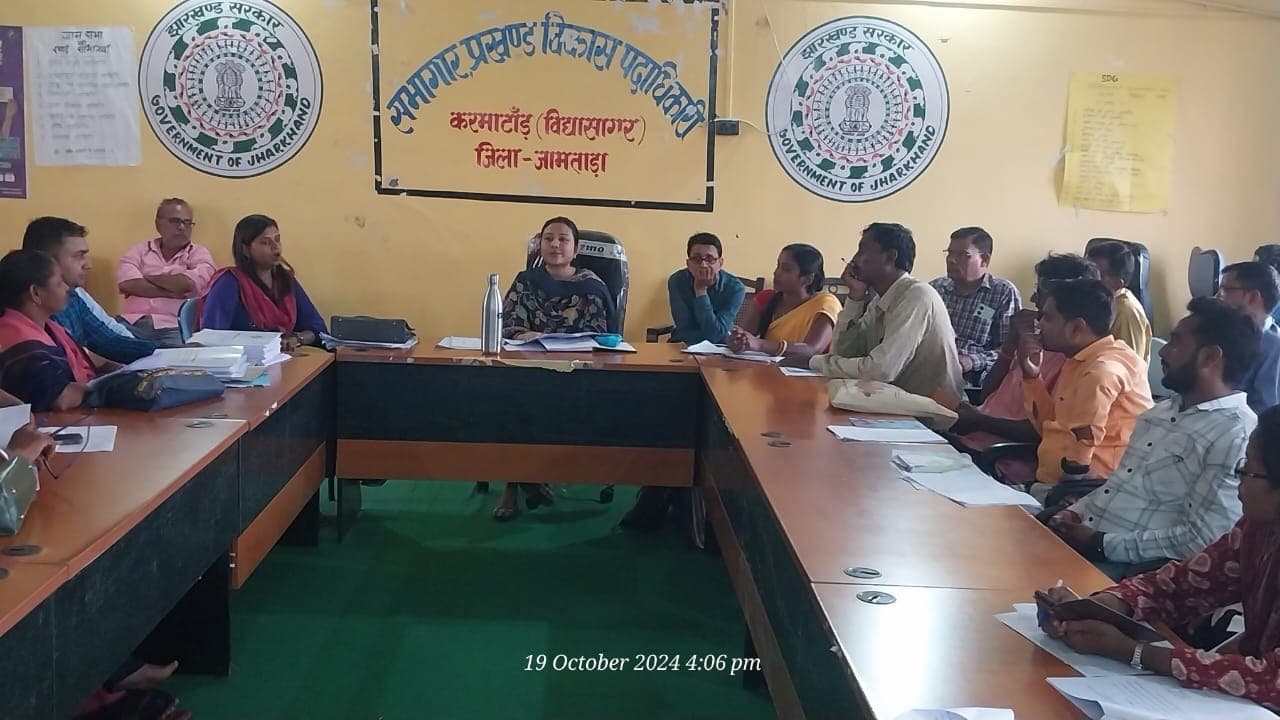 85 प्लस व दिव्यांग बैलेट पेपर से करेंगे वोटिंग : बीडीओ