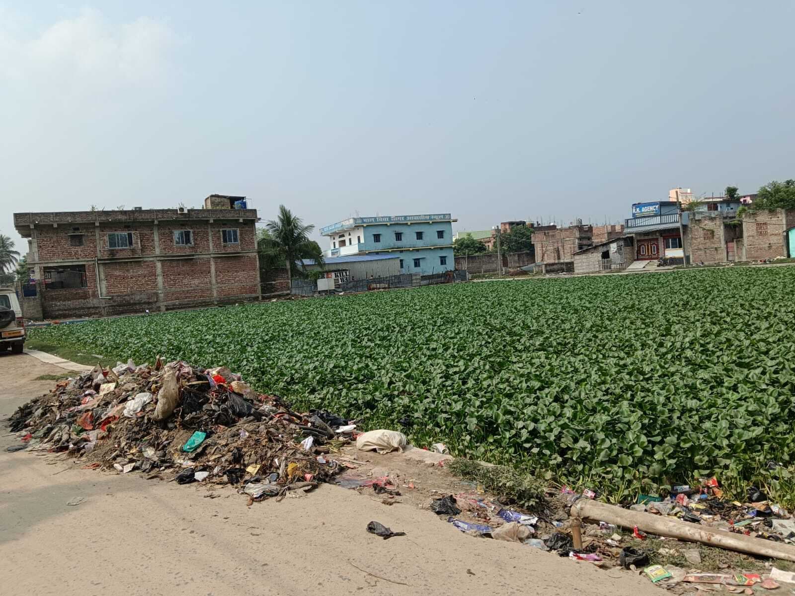 नगर नगर निगम क्षेत्र के मुख्य पोखर सहित चिन्हित 69 पोखरों को है सफाई का इंतजार