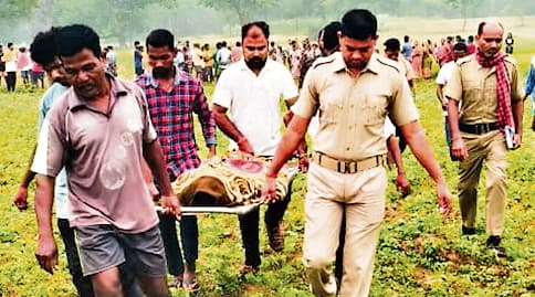 Rourkela News: बिरमित्रपुर में हाथी के हमले में एक की मौत, एक गंभीर