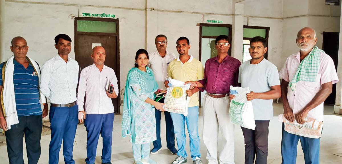 Gopalganj News : सरसों की खेती के प्रति जिले के किसानों का तेजी से बढ़ रहा रुझान, कृषि विभाग ने चार सौ एकड़ में सरसों के लिए बीज किया आवंटित