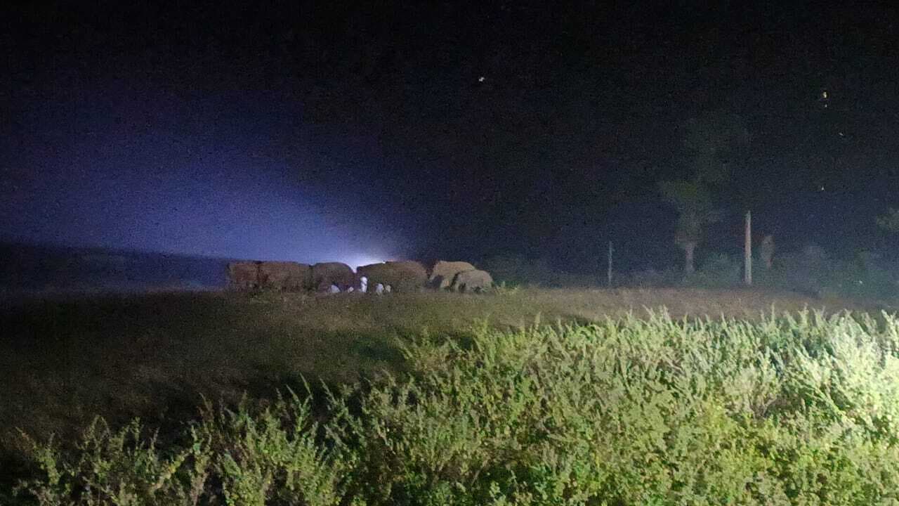 Rourkela News: बच्चे की तलाश में ट्रैक पर पहुंचा हाथियों का झुंड, नौ घंटे बाधित रहा रेल यातायात