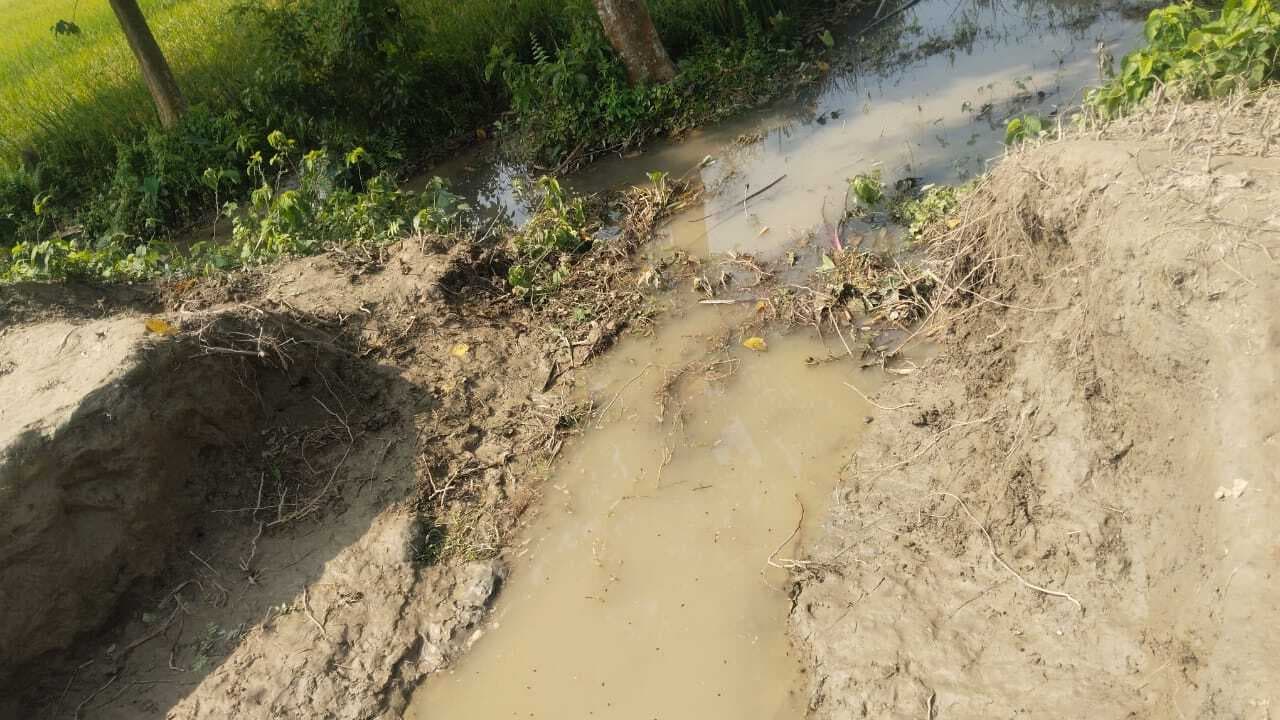 सहसौल गांव में नहर टूटने से 100 एकड़ धान की फसल जलमग्न