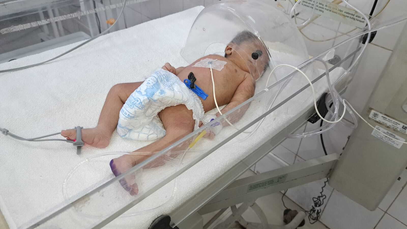 झाड़ी में मिला नवजात, एसएनसीयू में चल रहा इलाज