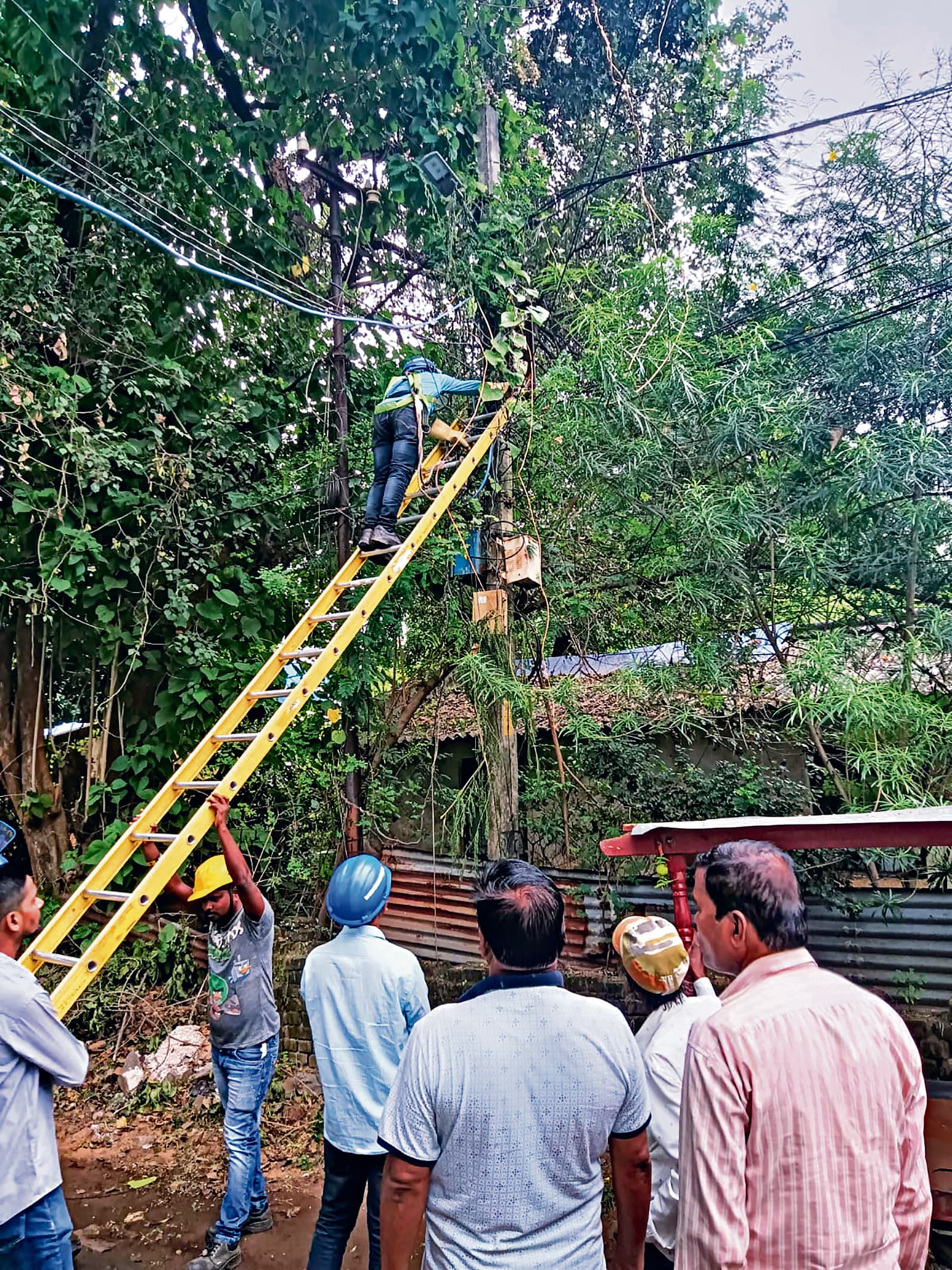 Rourkela News: सरकारी क्वार्टरों पर अवैध कब्जा के खिलाफ शुरू हुई सख्ती, 39 क्वार्टरों का बिजली कनेक्शन काटा गया