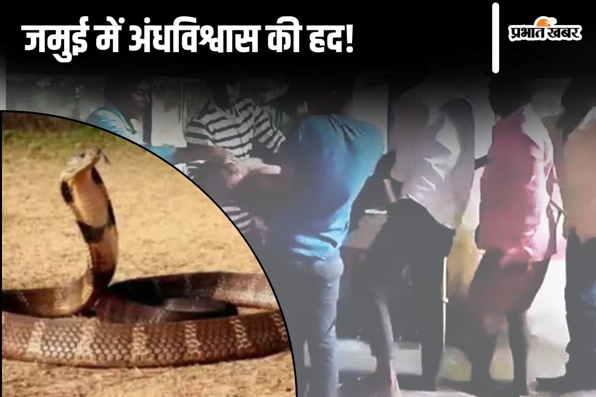 Jamui News: सांप डसने के बाद मंदिर में लिटाया, पानी से नहलाया, मुर्दे को जिंदा करने के लिए करते रहे प्रार्थना