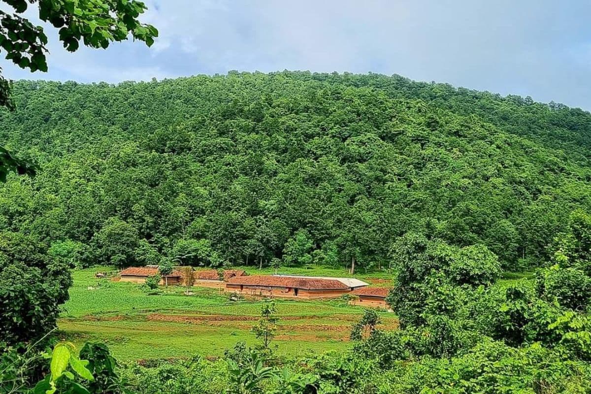 Jharkhand Weather: अधिकतम और न्यूनतम तापमान में होगी बढ़ोतरी, बदलते मौसम में खुद को ऐसे रखें हेल्दी