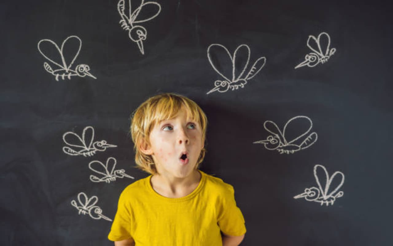 Dengue: आसपास भी नहीं भटकेंगे डेंगू के मच्छर, घर पर जरूर रखें ये पौधे