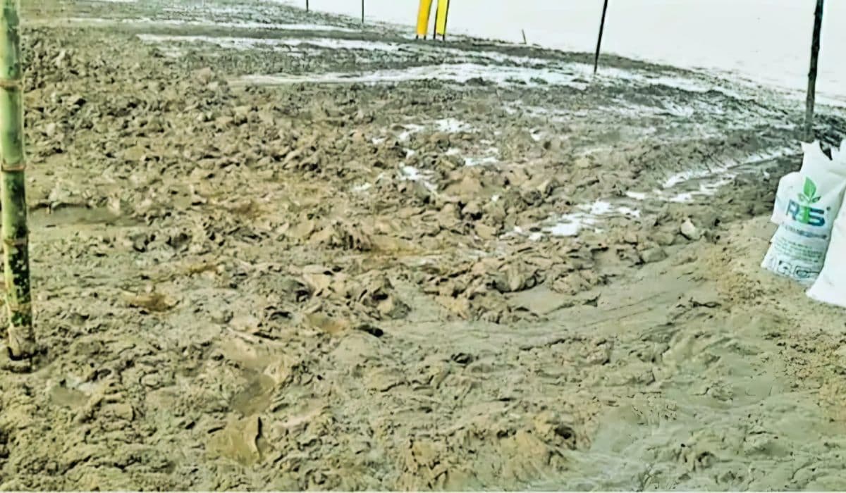 कहीं दलदल तो कहीं बढ़ा है जलस्तर, पटना के घाट पर छठव्रती कैसे देंगे भगवान भास्कर को अर्घ्य?