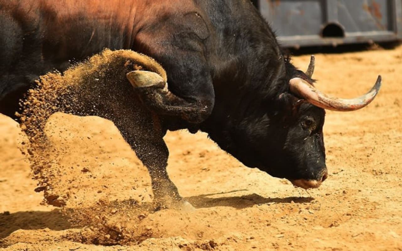 Bihar News: बांका के स्कूल में घुसा सांड, बच्चों को पटक-पटक कर लहूलुहान किया तो मची अफरा-तफरी