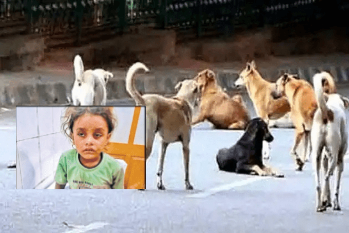 Sheohar News: कुत्ते ने 3 साल के बच्चे का प्राइवेट पार्ट नोचा, गंभीर स्थिति में भर्ती