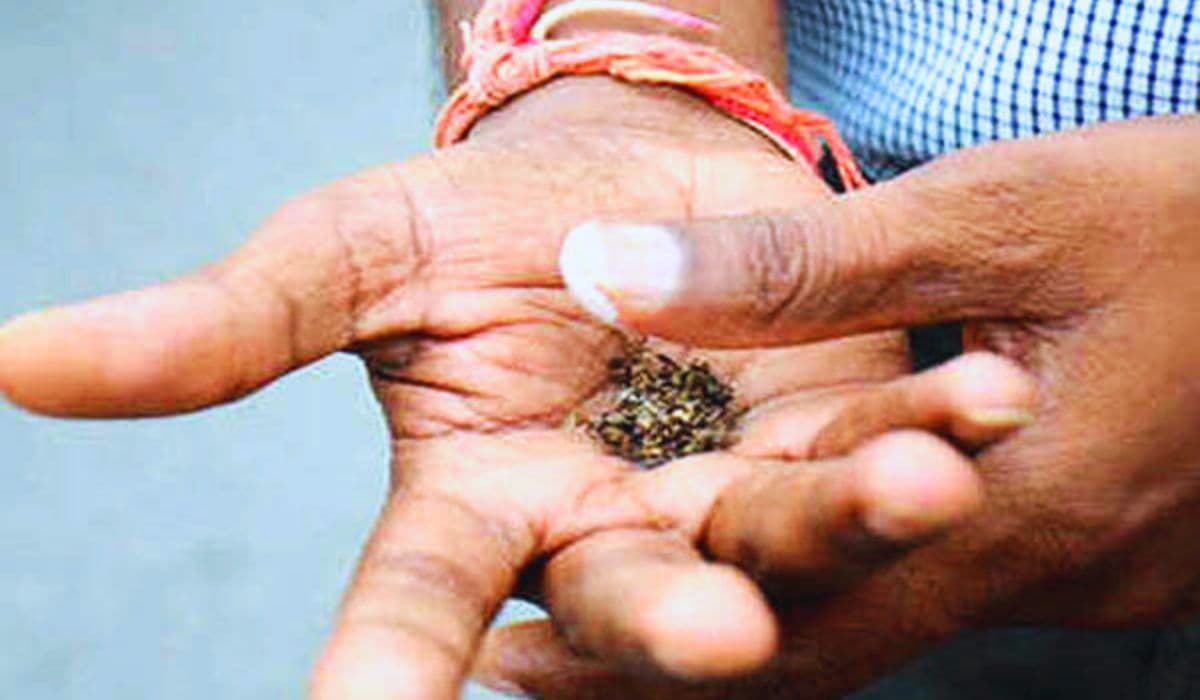 Education: शैक्षणिक संस्थानों को तंबाकू और नशीले पदार्थों से मुक्त बनाने के लिए चलेगा राष्ट्रव्यापी अभियान