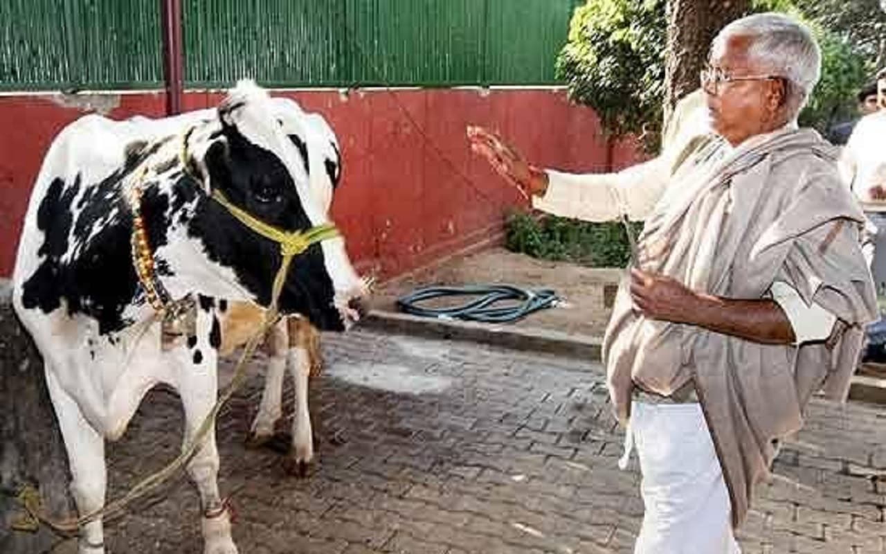 पटना में गोवर्धन पूजा समारोह में मुख्य अतिथि बनकर आएंगे लालू यादव, भाजपा के यह नेता भी रहेंगे साथ...