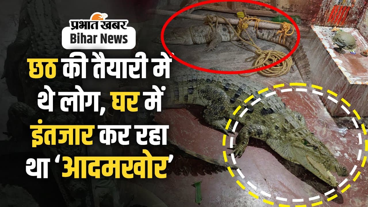 Viral Video: घर के आंगन में बैठा था मगरमच्छ, 04 घंटे के रेस्क्यू के बाद वन विभाग की टीम ने पकड़ा