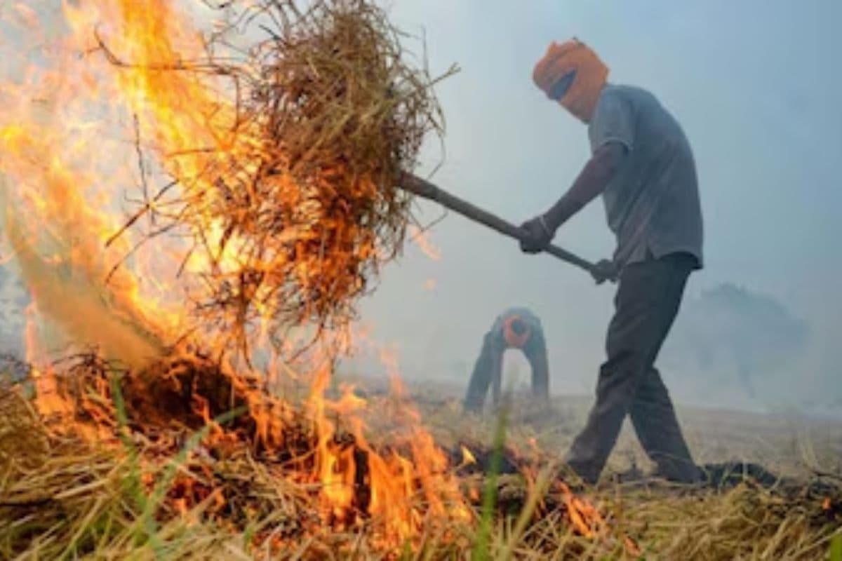 Bihar: नालंदा में किसान को पराली जलाना पड़ा महंगा, प्रशासन ने दर्ज कराया FIR