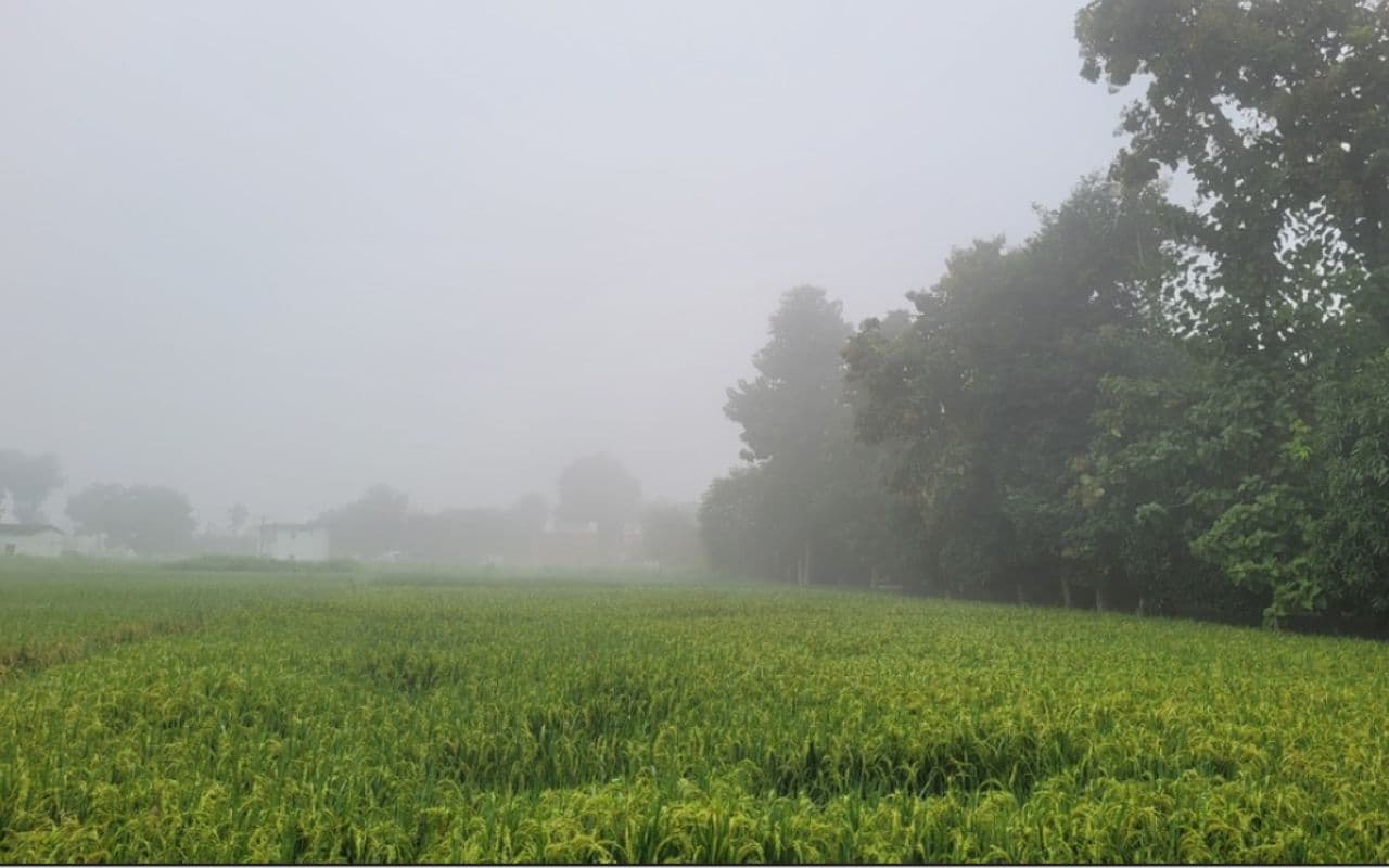 Bihar Weather: छठ से पहले मौसम का बदला मिजाज, घने कोहरे की चादर में ढाका बिहार का ये शहर