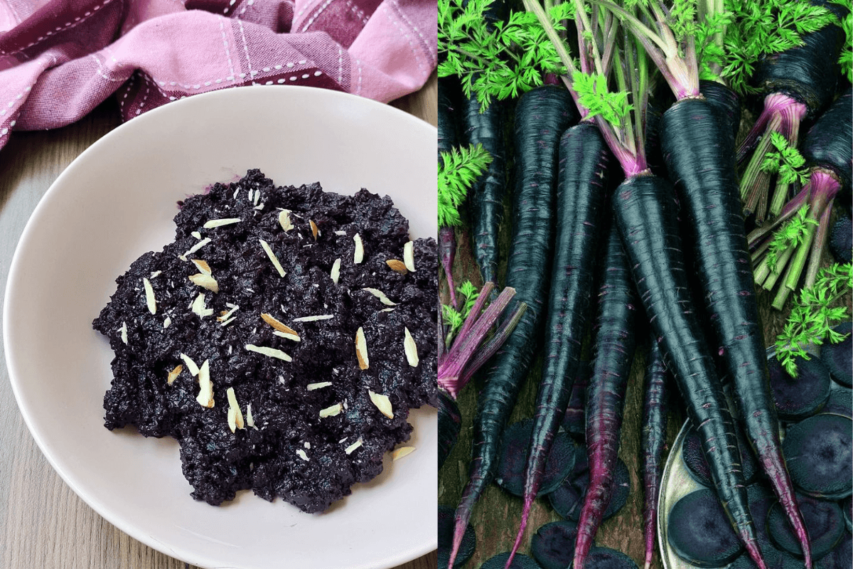 Black Carrot Halwa Recipe Black Carrot Halwa Recipe