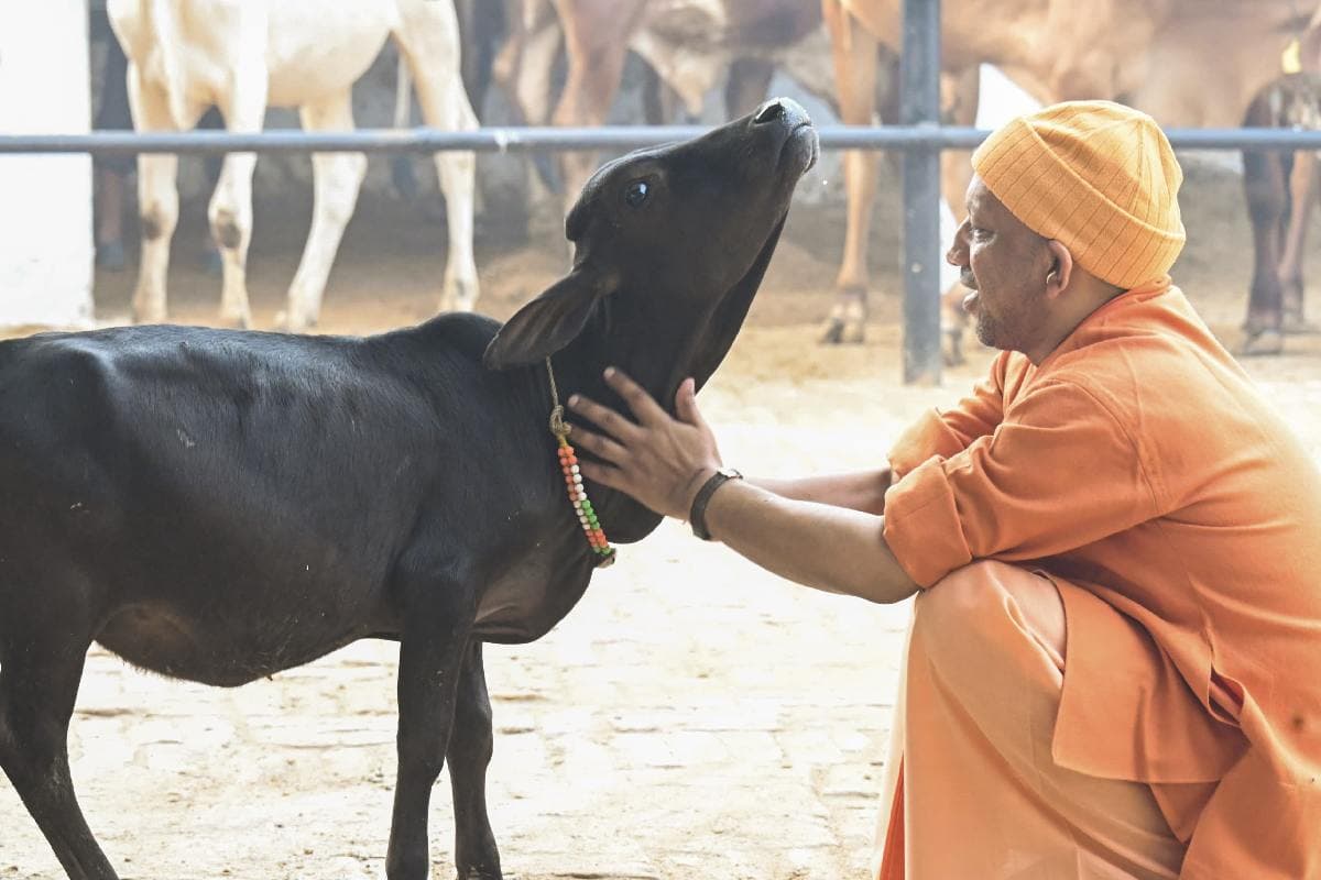 Krishi Bharat 2024 : लखनऊ में जुटेंगे यूपी के 1 लाख किसान, नई कृषि तकनीक से होंगे रू-ब-रू