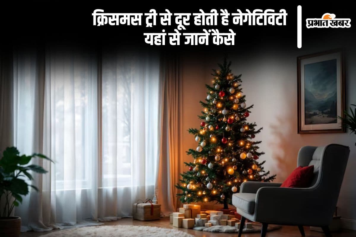 Christmas 2024 Tree Vastu Tips: क्रिसमस ट्री से खत्म होगी नेगेटिविटी, घर में रखने से होते हैं ये फायदे, जानें