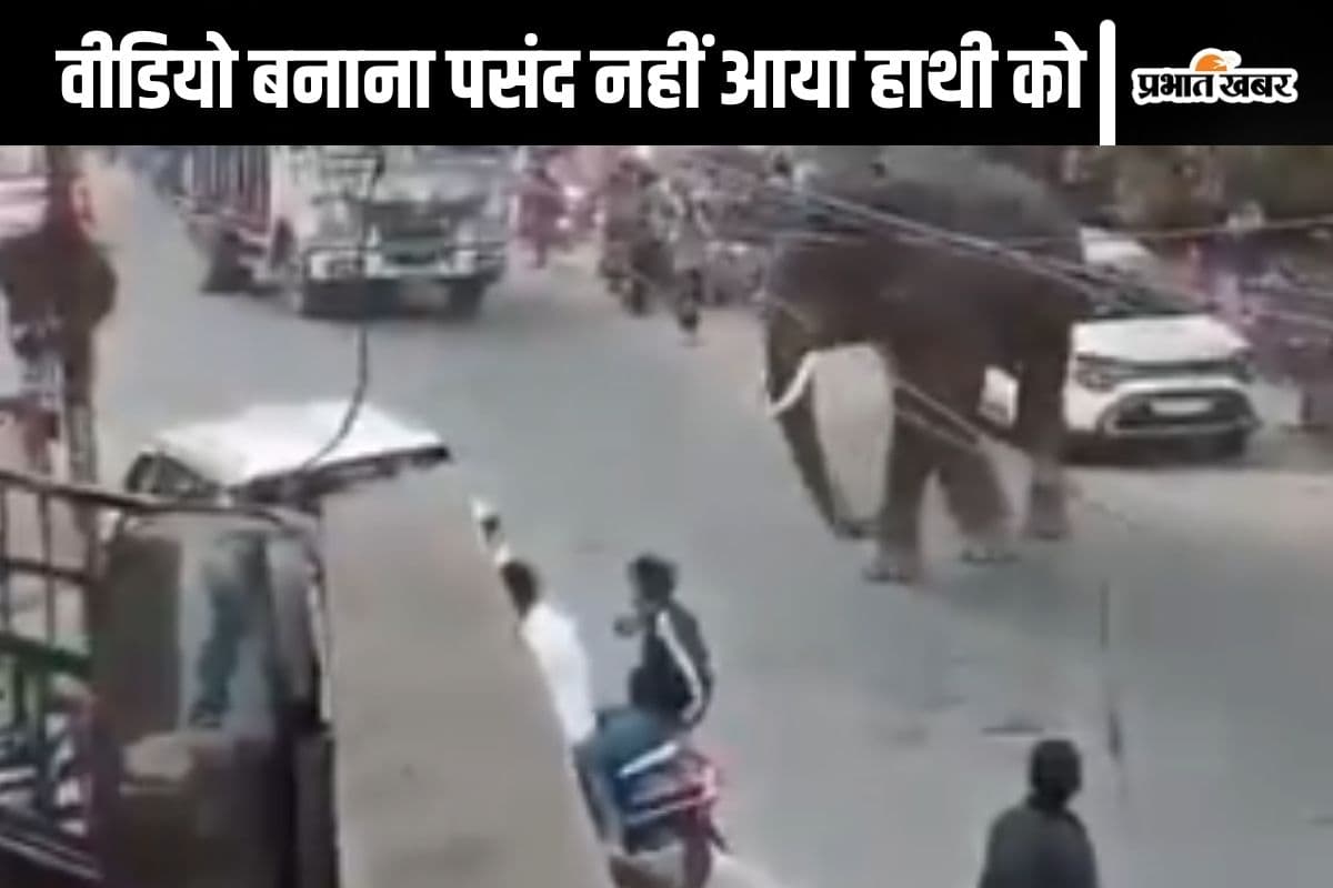 Viral Video : मोबाइल से वीडियो बनाना पसंद नहीं आया जंगली हाथी को, लड़के की ओर लपका