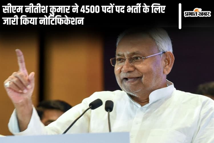 Bihar Sarkari Naukri: दिवाली के बाद नीतीश कुमार ने युवाओं को दिया बड़ा तोहफा, 4500 पदों पद भर्ती के लिए जारी किया नोटिफिकेशन