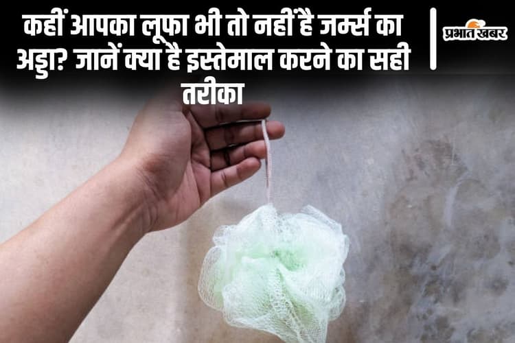 कहीं आपका लूफा भी तो नहीं है जर्म्स का अड्डा? जानें क्या है इस्तेमाल करने का सही तरीका
