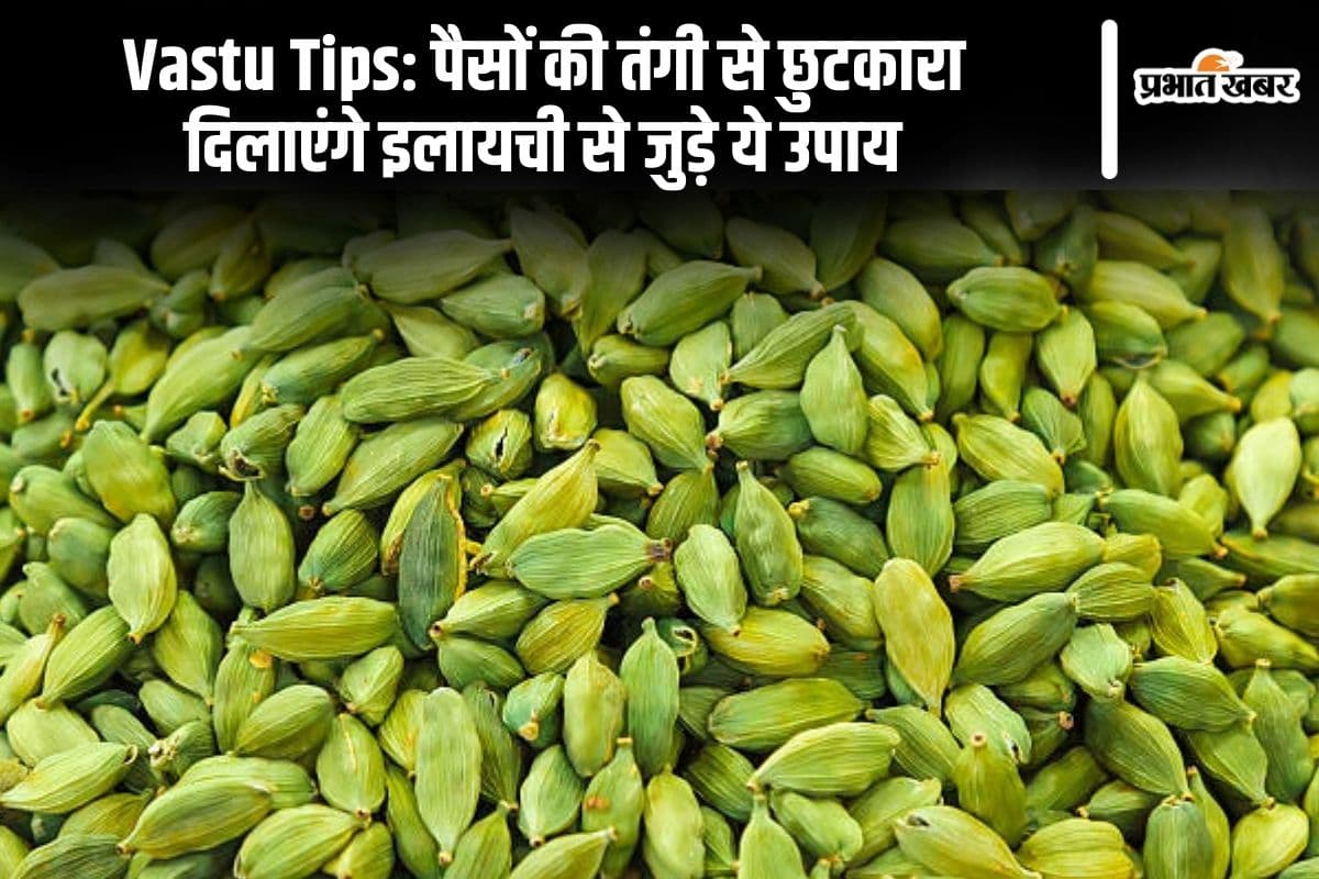 Vastu Tips: पैसों की तंगी से छुटकारा दिलाएंगे इलायची से जुड़े ये उपाय