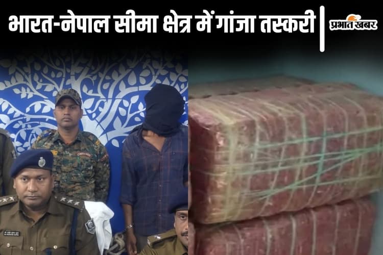 बिहार-नेपाल बॉर्डर इलाके में गांजा तस्करों का आतंक, जानिए हाल में 1 क्विंटल से अधिक जब्त खेप के बारे में...