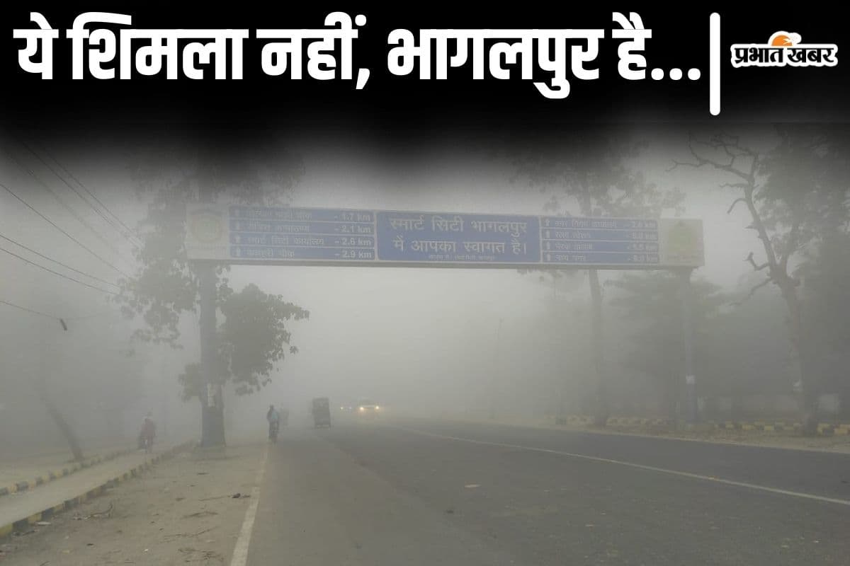 Video: भागलपुर में शिमला जैसा नजारा देखिए, गांव से लेकर शहर तक कोहरे की चादर में लिपटा रहा