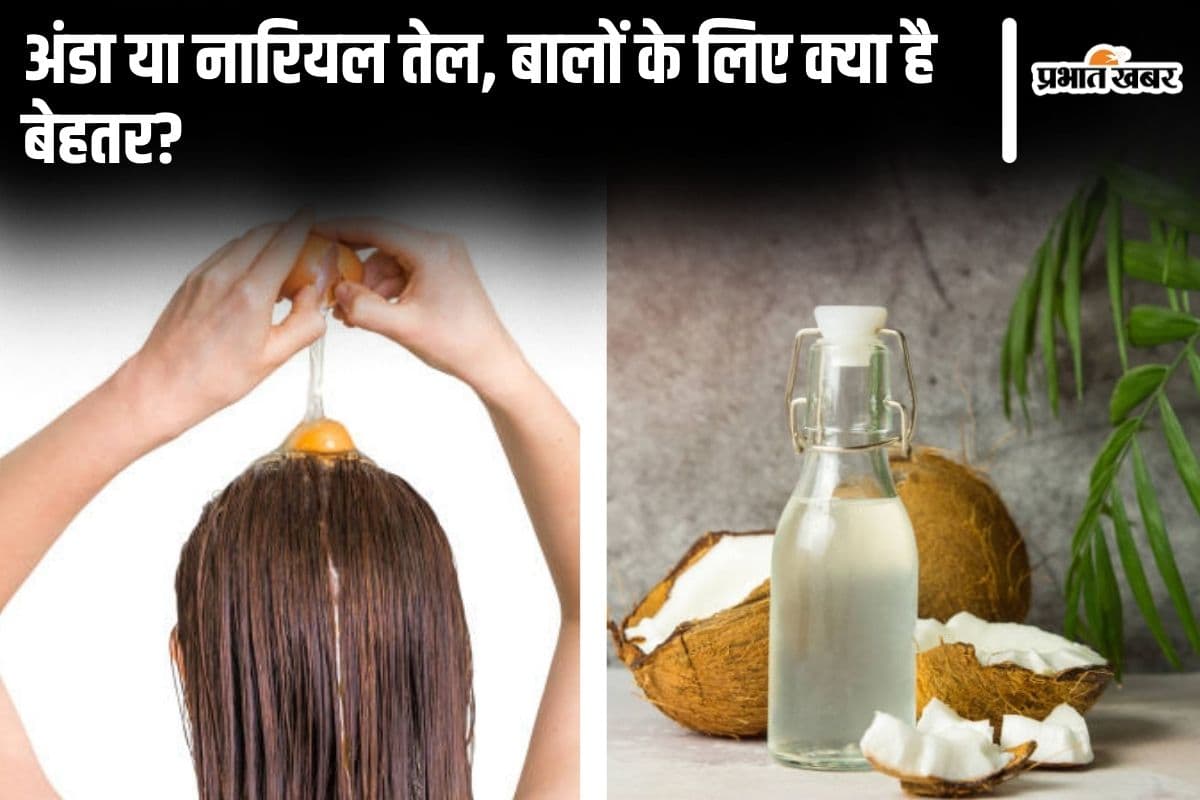Hair Care Tips Hair Care Tips