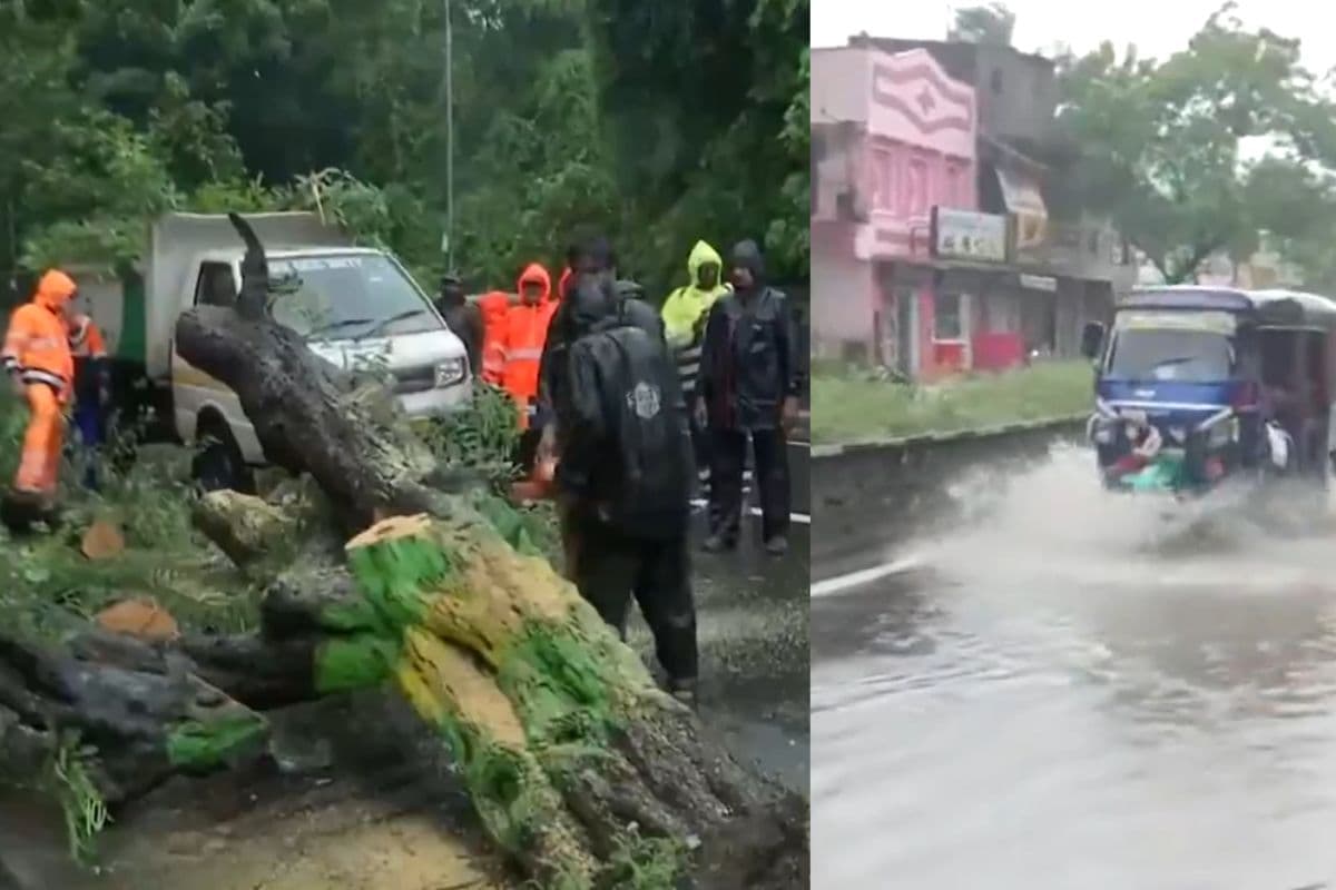 Cyclone Fengal Tracker: चक्रवात फेंगल का कहर, चेन्नई और पुडुचेरी में भारी तबाही, उड़ानें प्रभावित, देखें Video