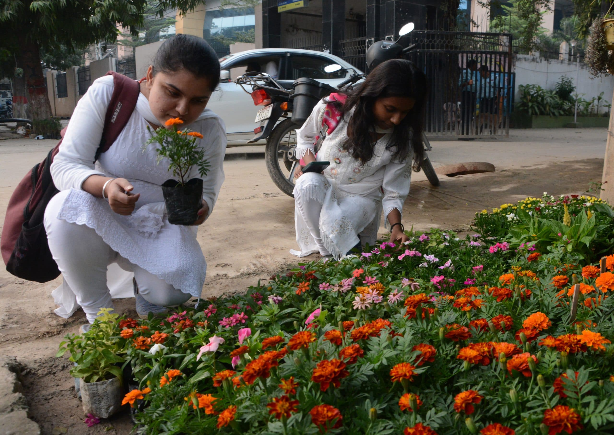 Flower Market : 35 रुपए में गेंदा और 1000 रुपए तक में आर्किड, सर्दी आते ही पटना के बाजारों में फूलों की भरमार