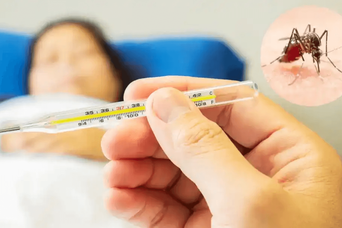 Muzaffarpur News: सावधान! लगातार बढ़ रहे डेंगू के मामले, कुल आंकड़ा पहुंचा 300 के पार