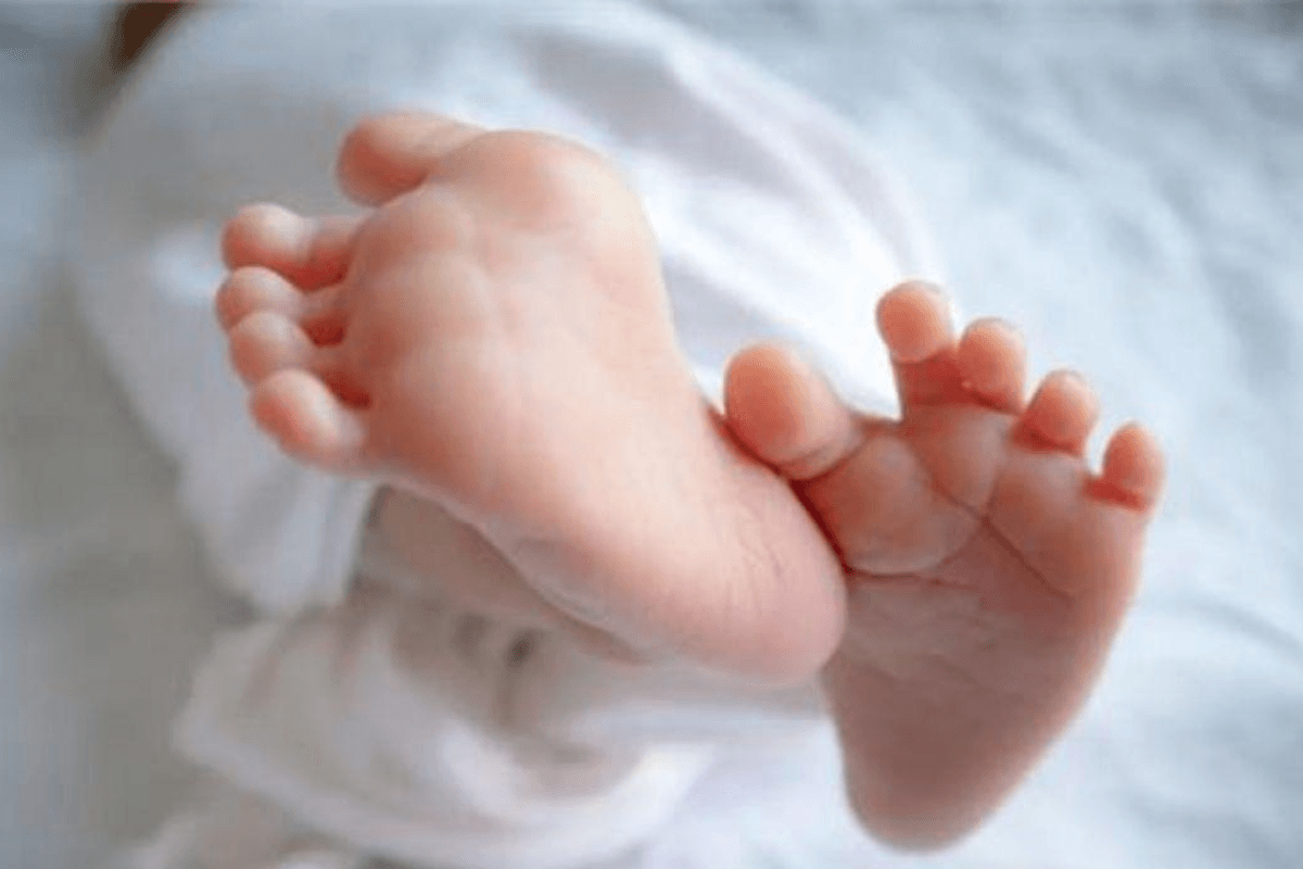 Muzaffarpur News: मानवता शर्मसार! कचरे के ढेर पर मिला नवजात का शव, शरीर पर लगा था हॉस्पिटल का बैंडेज