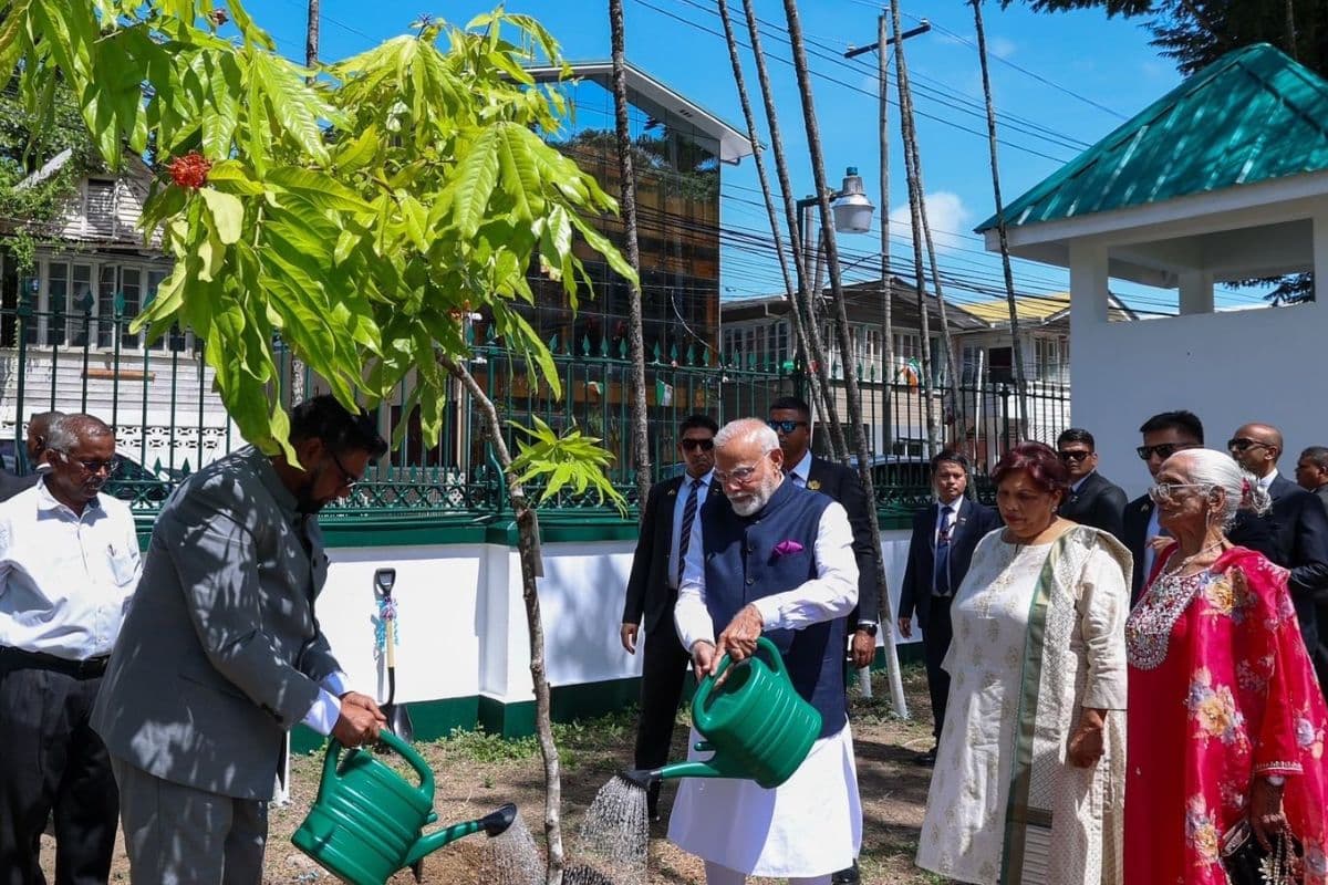 PM Modi Guyana Visit: गुयाना पहुंचकर पीएम मोदी ने रचा इतिहास, ‘एक पेड़ मां के नाम’ पर लगाया पौधा, देखें VIDEO