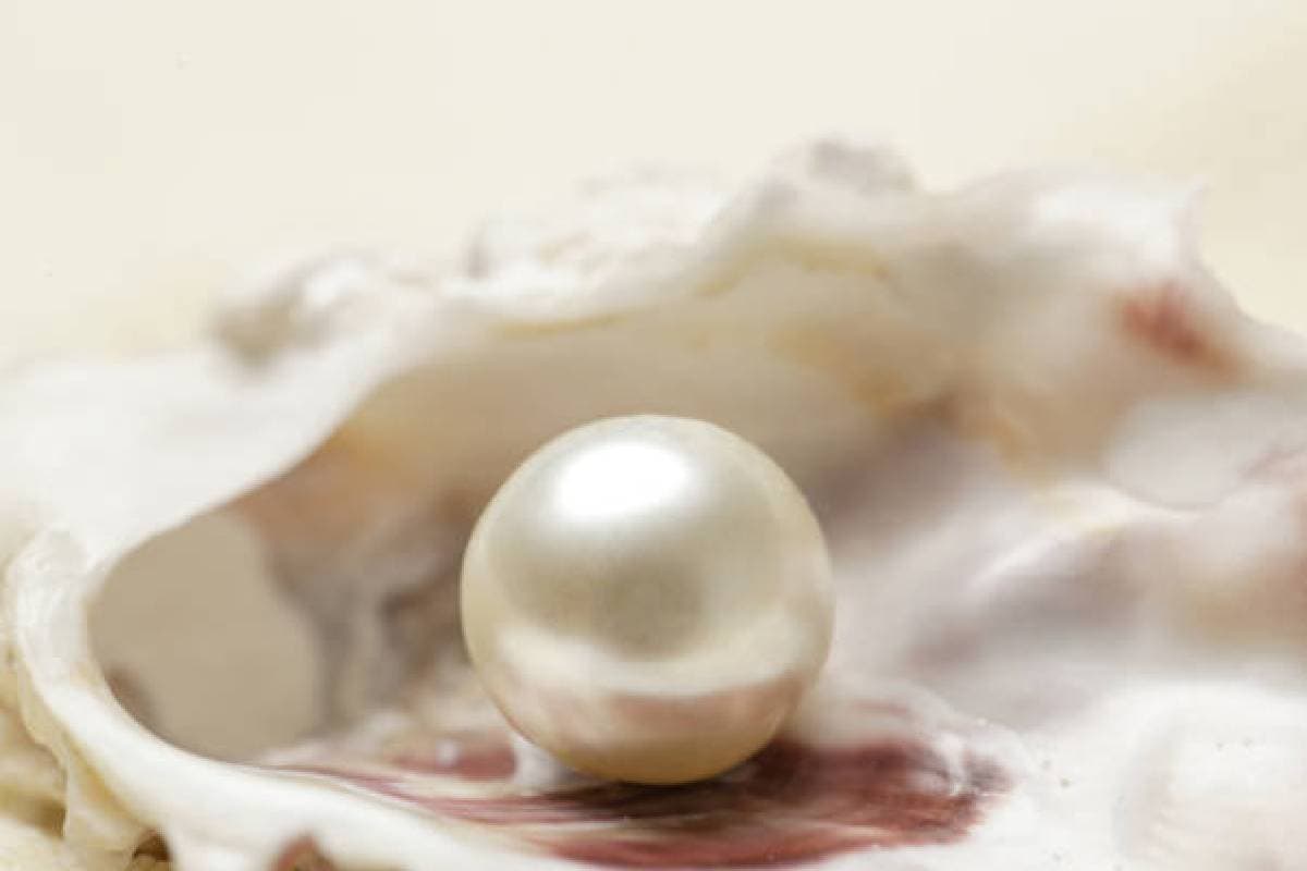 Pearl: कैसे करें असली और नकली मोती की पहचान, ये है आसान तरीका