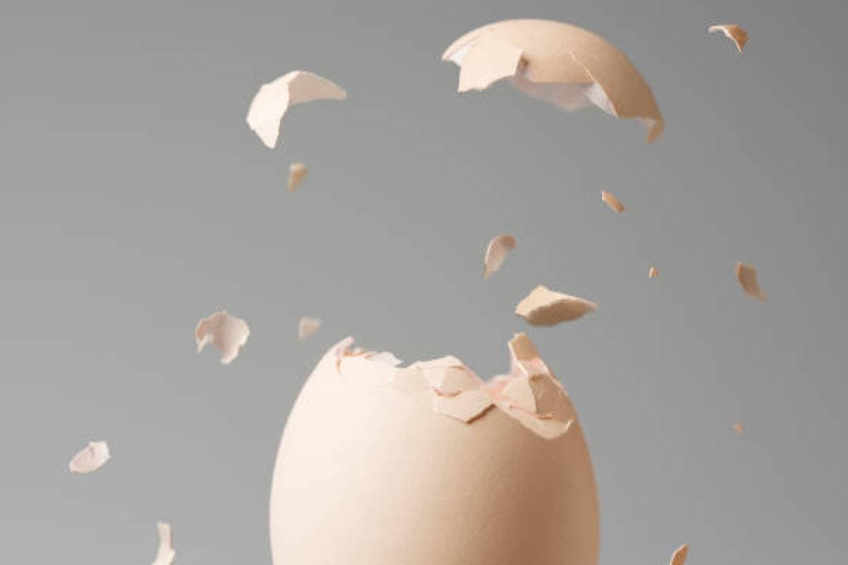 benefits of Egg Shell: अंडे के छिलके करेंगे कमाल, ऐसे करें इस्तेमाल
