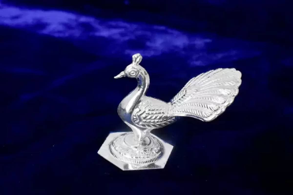 Vastu Tips: बुरी किस्मत नहीं छोड़ रही पीछा, आज ही घर ले आएं ये चांदी की मूर्ति