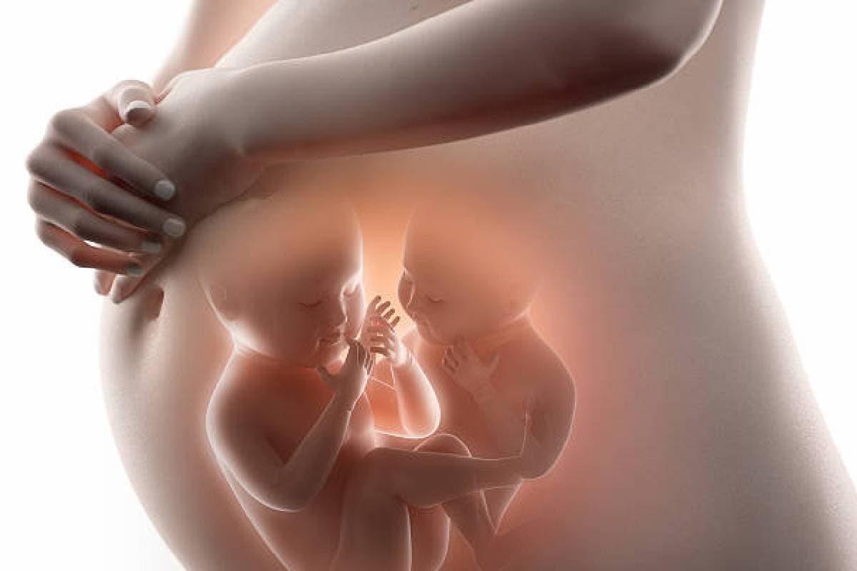 Twins Baby: किन महिलाओं में जुड़वा बच्चा होने की संभावना होती है अधिक, जानें क्या कहता है विज्ञान