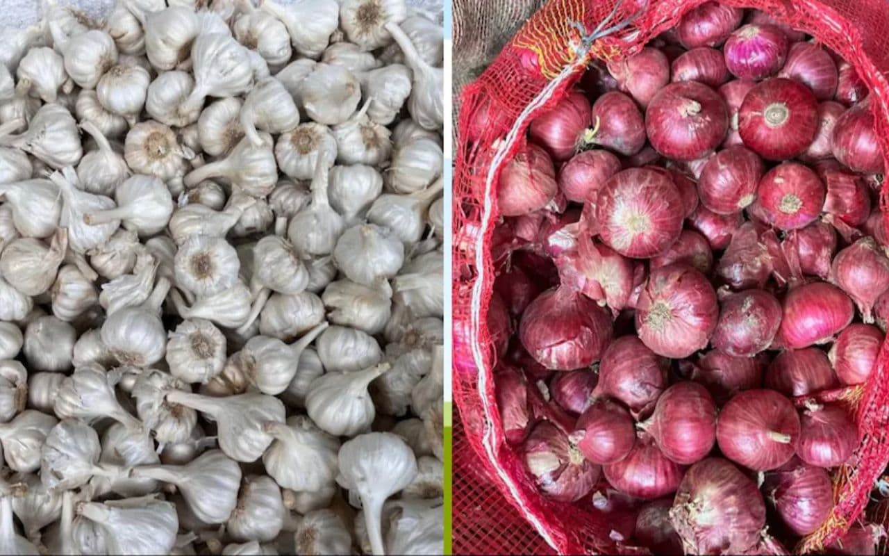 Vegetable Price: लहसुन की कीमतों में लगी आग, महंगाई की मार से लोग परेशान, जानें भाव