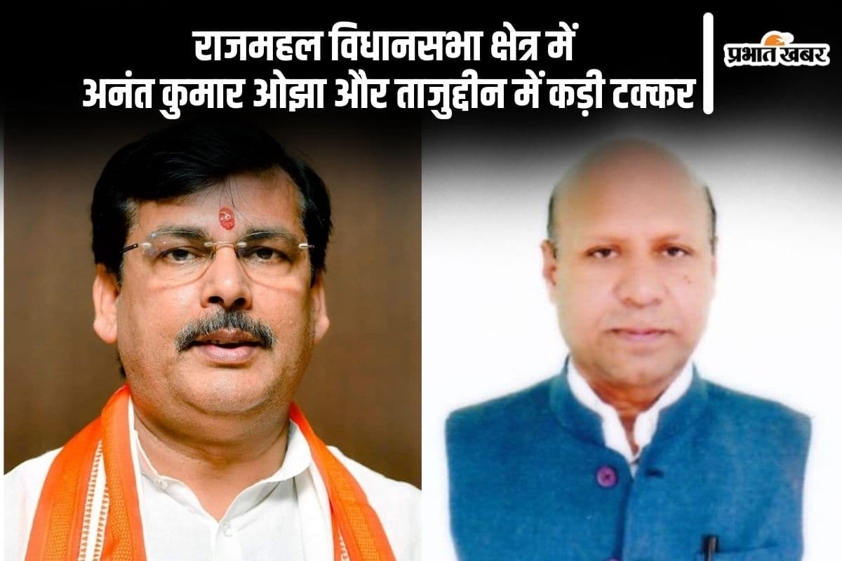 Rajmahal Vidhan Sabha Result 2024: बीजेपी के अनंत कुमार ओझा पिछड़े जेएमएम के ताजुद्दीन आगे